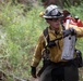 Timber Fire