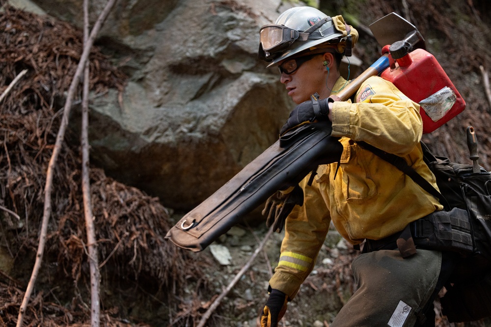 Timber Fire