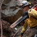 Timber Fire