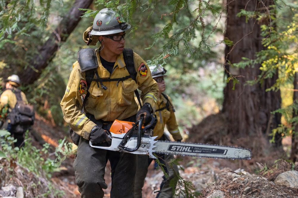 Timber Fire