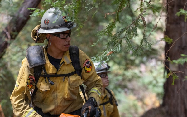 Timber Fire