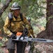Timber Fire
