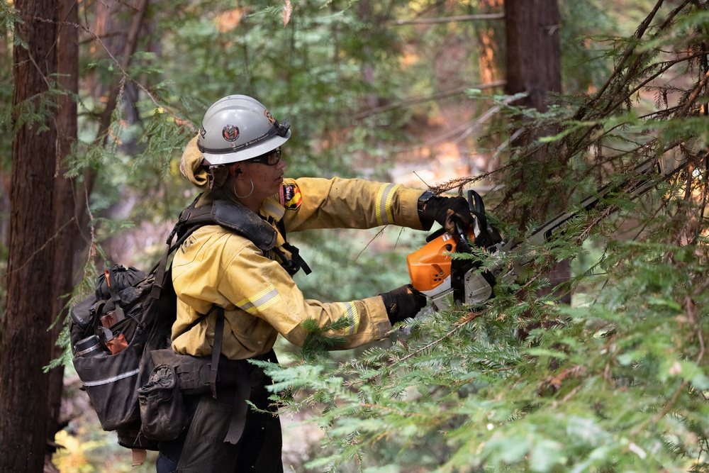 Timber Fire