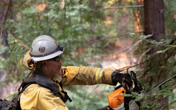 Timber Fire