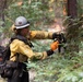 Timber Fire