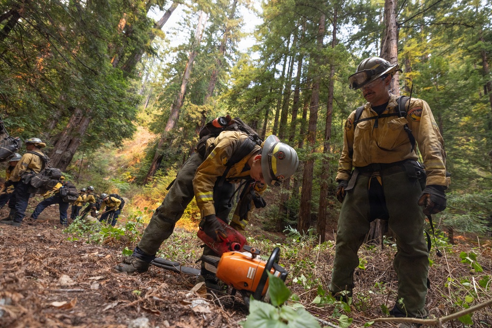 Timber Fire