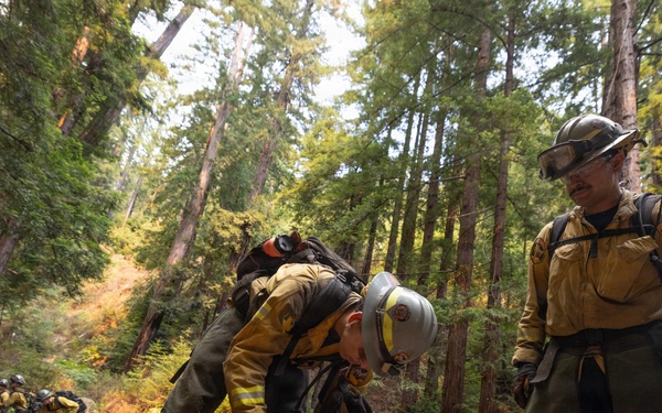 Timber Fire