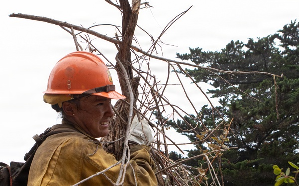 Timber Fire