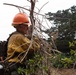 Timber Fire