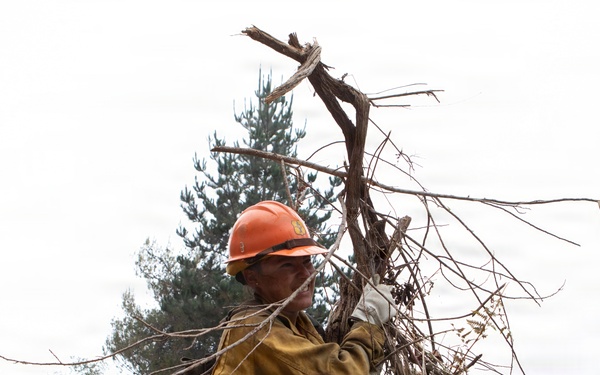 Timber Fire