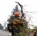 Timber Fire
