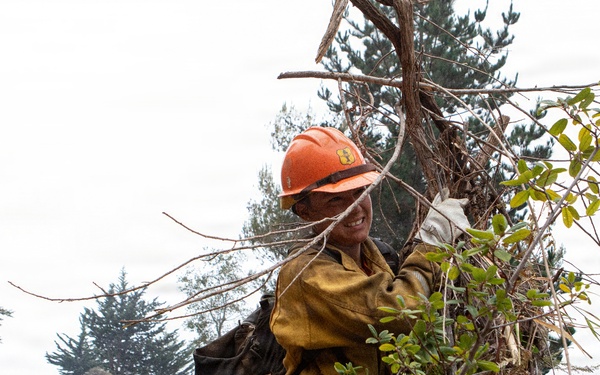Timber Fire
