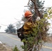 Timber Fire