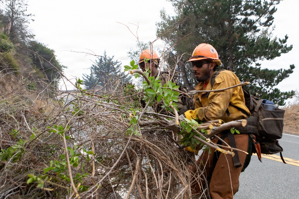 Timber Fire