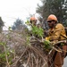 Timber Fire