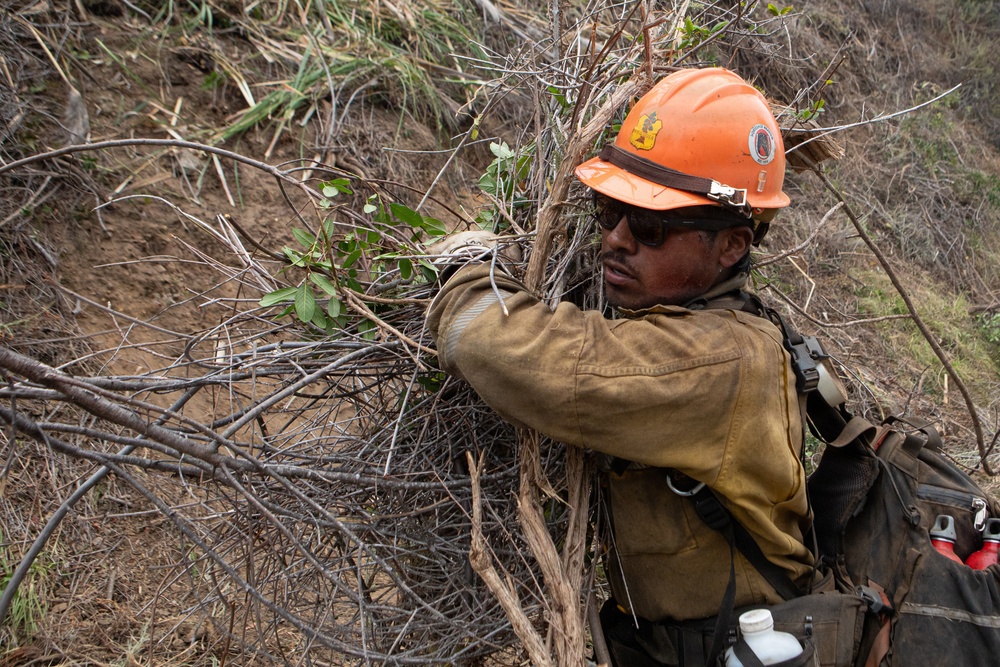 Timber Fire