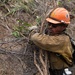 Timber Fire