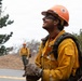 Timber Fire