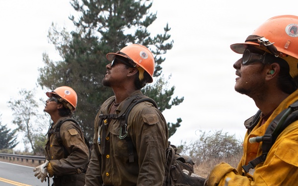 Timber Fire