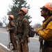 Timber Fire