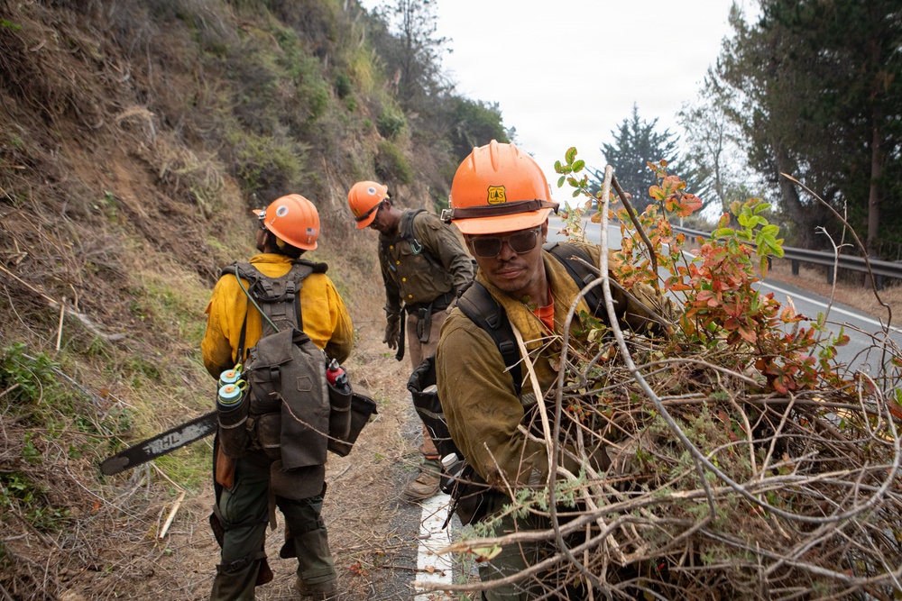 Timber Fire