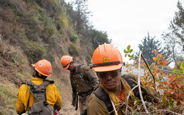 Timber Fire