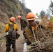 Timber Fire