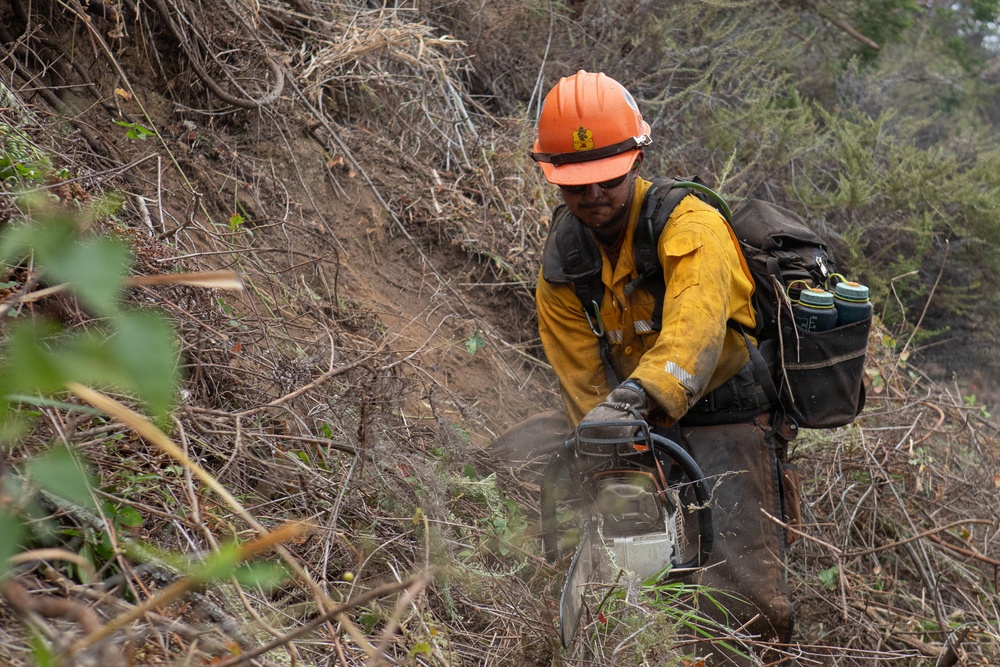 Timber Fire