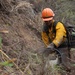 Timber Fire