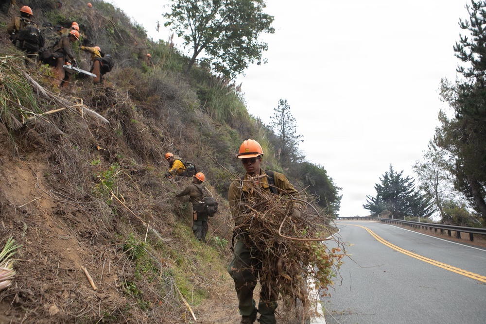 Timber Fire