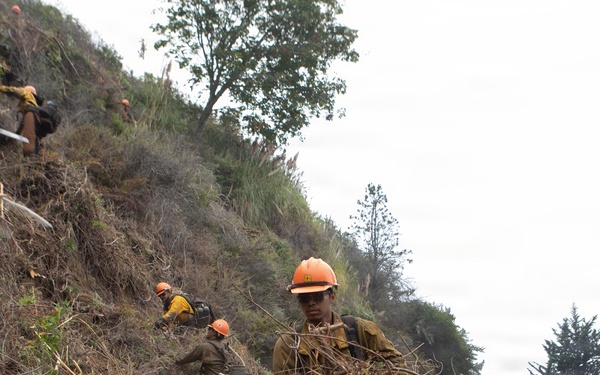 Timber Fire