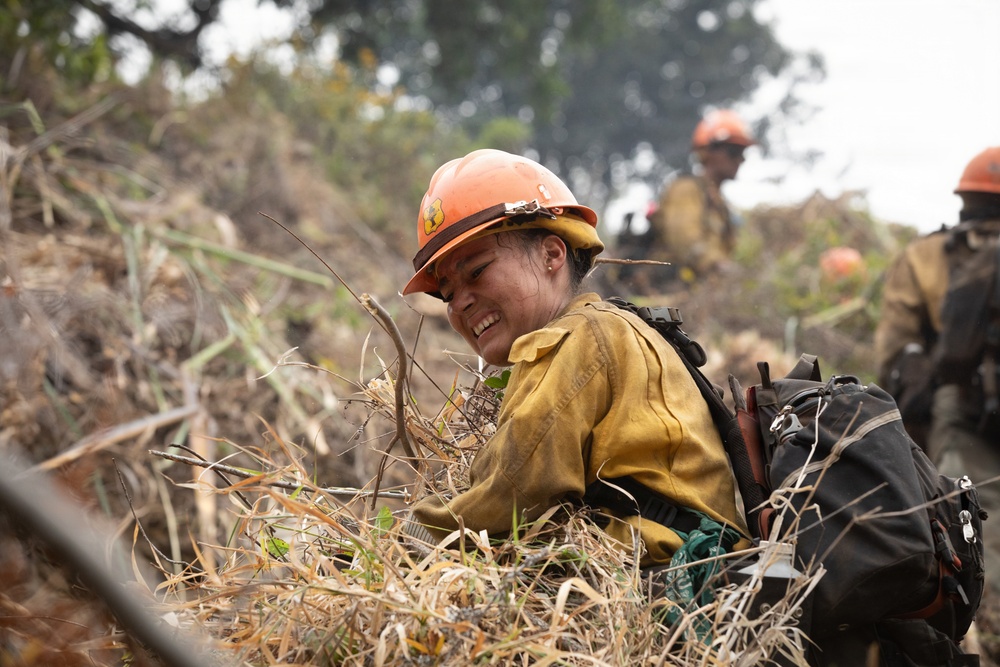 Timber Fire