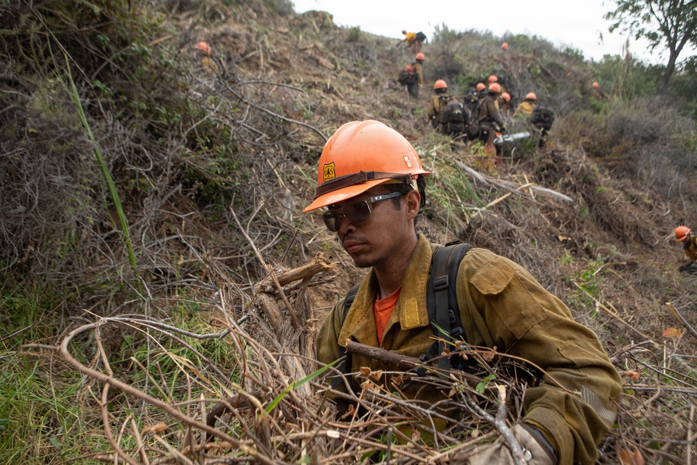 Timber Fire