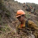 Timber Fire