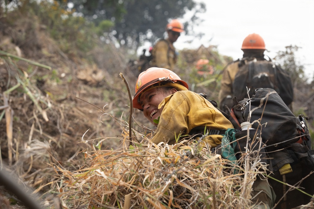 Timber Fire
