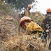 Timber Fire