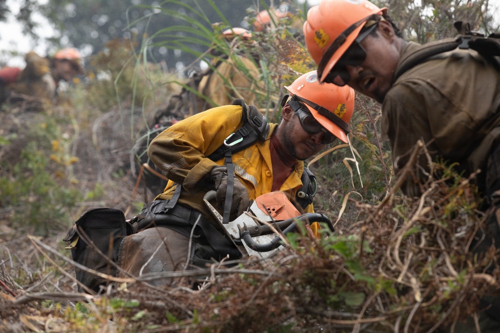Timber Fire