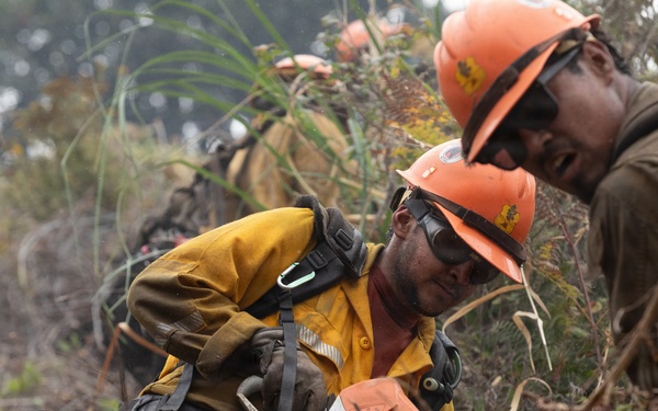 Timber Fire