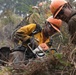 Timber Fire