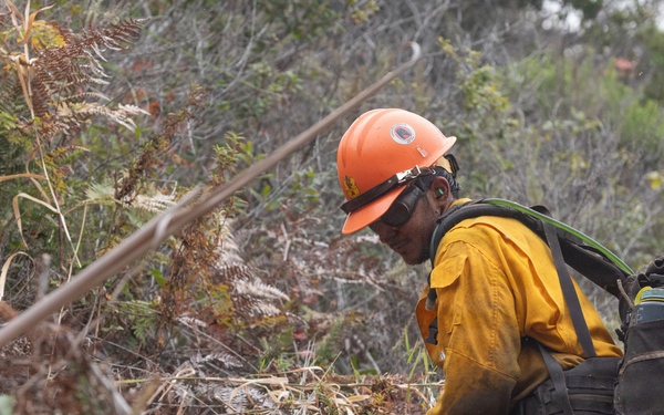 Timber Fire