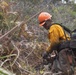 Timber Fire