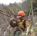 Timber Fire