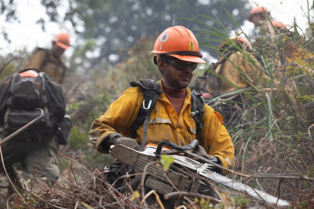 Timber Fire