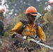 Timber Fire