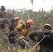 Timber Fire