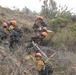Timber Fire