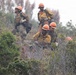 Timber Fire