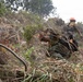Timber Fire