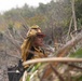 Timber Fire