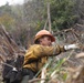 Timber Fire